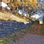 weg bei naturns