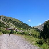 weg getrum alm hund